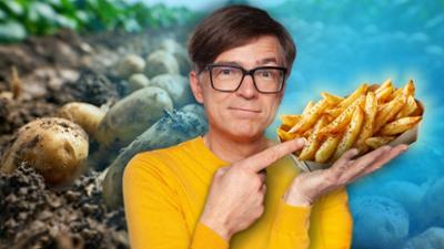 Quarks: Die Zukunft der Kartoffel - Pommes-Boom oder Klimastress?: Die Zukunft der Kartoffel · Pommes-Boom oder Klimastress?