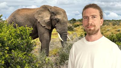 Roadtrip durch Südafrika: Südafrika: Kapstadt, Safari und Garden Route mit Sarazar