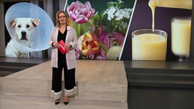 Servicezeit: Donnerstag,