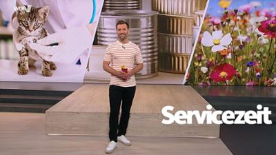 Servicezeit