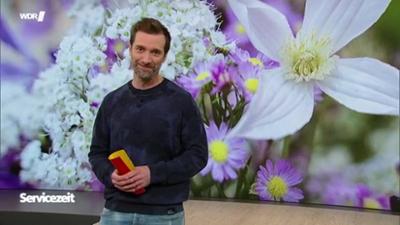 Servicezeit: · Mittwoch,