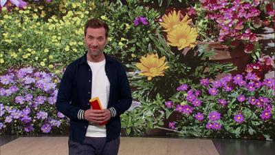 Servicezeit: Montag,