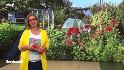 Servicezeit: Mittwoch,