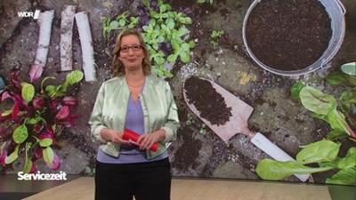 Servicezeit: Donnerstag,