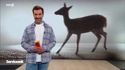 Servicezeit: Mittwoch,