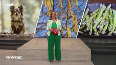 Servicezeit: Mittwoch,