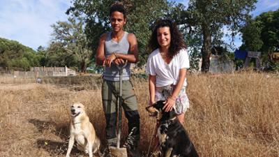 Servicezeit-Reportage: Unsere eigene Farm: Folge 2: Selbstversorgung in Portugal