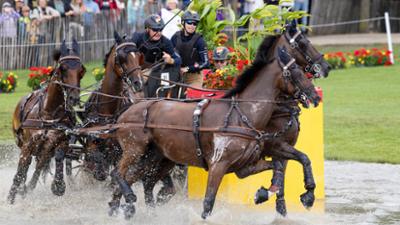 Sport im Westen: Reit-WM in Aachen 2026 · Gespannfahren Geländeprüfung