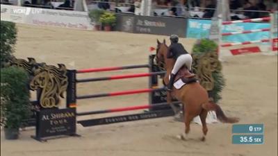Sport im Westen: Reiten: Turnier der Sieger: Großer Preis von Münster