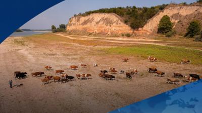 Tagesschau: Niedrigwasser-Notstand in Europa