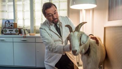 Tatort: Das Wunder von Wolbeck: Das Wunder von Wolbeck (2012)