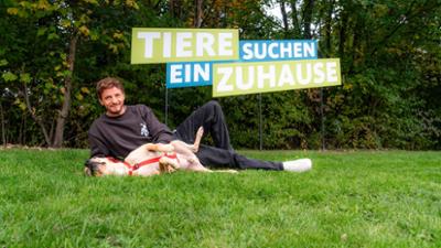Tiere suchen ein Zuhause Tiere suchen ein Zuhause
