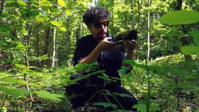 Twist: Der Wald und Wir