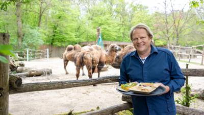 Viel für wenig: Björn im Zoo-Bistro: Kein Futter für die Tonne!