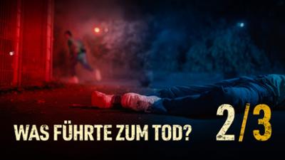 Warum starb Niklas P.? Bonn sucht einen Täter: Folge 2: Was führte zum Tod?