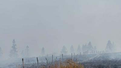 WDR extra: Waldbrände: Trotz Regen noch keine Entspannung