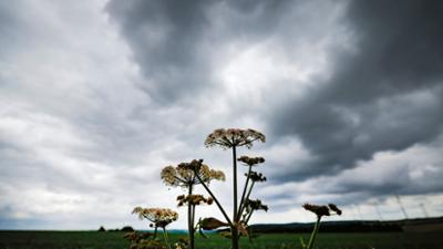 WDR extra: Hitze und Gewitter in NRW