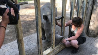 WILDER WILDER WESTEN: Nashornbaby Amiri muss ausziehen