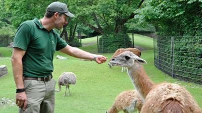 Zoobabies: (40 / Kurzfassung)