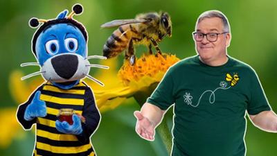 1, 2 oder 3: Bienen - Helden der Natur