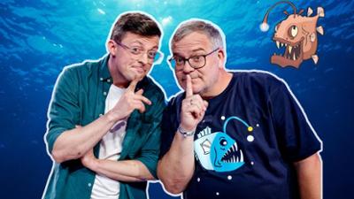 1, 2 oder 3: Geheimnissen auf der Spur