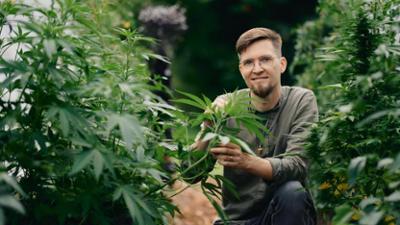 37 Grad: Staffel 2025, Folge 30: Cannabis - zwischen Rausch und Rettung
