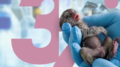 37 Grad - die Einzeldokus: Staffel 2026, Folge 24: Geheimsache Tierversuche