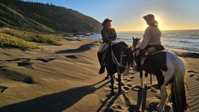 Abenteuer Auswandern: Staffel 1, Folge 27: Wüste, Dschungel, Meer und Berge: Neuanfang in Chile 
