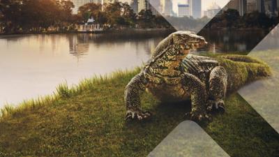 Asien: Staffel 1, Folge 2: Wilde Nachbarn