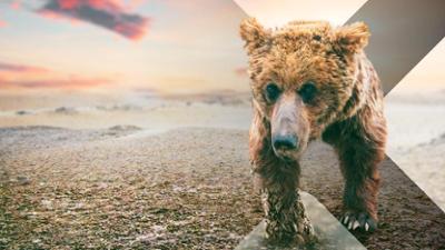 Asien: Staffel 1, Folge 3: Wilde Wüsten