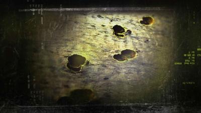 Aufgeklärt: Staffel 4, Folge 3: Spurlos verschwunden