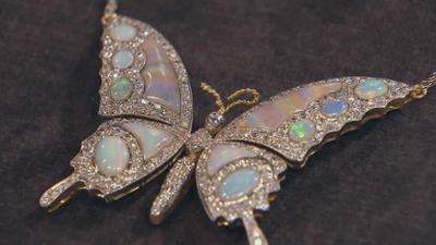 Bares für Rares: Staffel 2025, Folge 4: Wie der Schmetterling zu seinem Namen fand