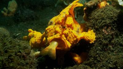 Big Pacific: Staffel 1, Folge 1: Der gewaltsame Ozean