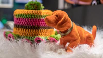 Das war dann mal weg: Staffel 1, Folge 12: Wackeldackel, Fuchsschwanz & Co.