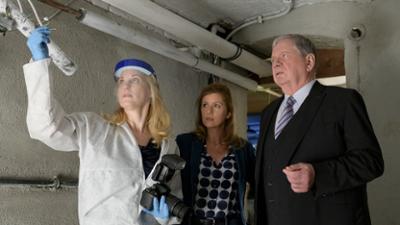 Der Staatsanwalt: Staffel 16, Folge 2: Schlag auf Schlag