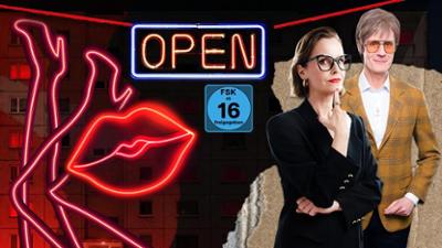 Die Anstalt: Die Prostitutionsanstalt