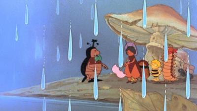 Die Biene Maja: Maja und Iffi im Regen