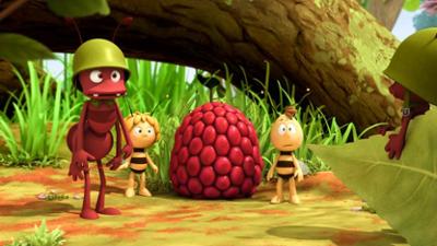 Die Biene Maja: Staffel 1, Folge 42: Pauls Himbeere