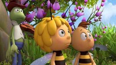 Die Biene Maja: Staffel 2, Folge 49: Wer findet den Schatz? 