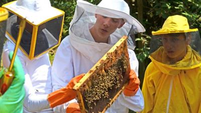 Die Jungs-WG: Sommer. Sonne. Elternfrei.: Staffel 1, Folge 4: Bienen-Bekanntschaft beim Imker