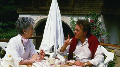 Die Schwarzwaldklinik: Staffel 1, Folge 10: Der Kunstfehler