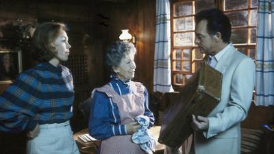 Die Schwarzwaldklinik: Staffel 2, Folge 4: Der Mann mit dem Koffer