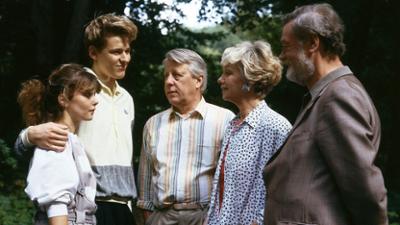 Die Wicherts von nebenan: Staffel 2, Folge 10: Der Unfall