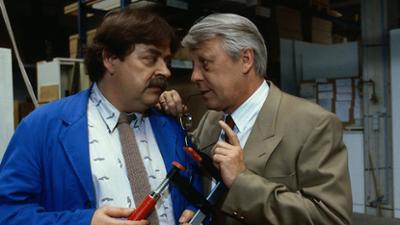 Die Wicherts von nebenan: Staffel 2, Folge 4: Sonnige Aussichten