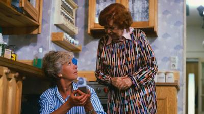 Die Wicherts von nebenan: Staffel 3, Folge 12: Das Baby von Elke und Andy