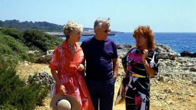 Die Wicherts von nebenan: Staffel 2, Folge 7: Spanische Zeiten