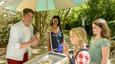 Löwenzahn: Eis