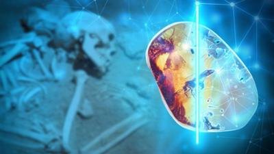 Entschlüsselt - Hightech trifft auf Archäologie: Staffel 1, Folge 3: Die Bernsteinstraße