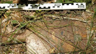 Ermittler!: Staffel 5, Folge 15: Der Feind in deiner Nähe