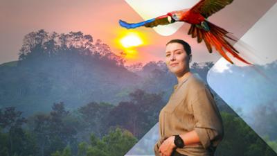 Faszination Erde: Staffel 22, Folge 4: Faszination Erde: Guatemala - Überlebenskampf im Dschungel